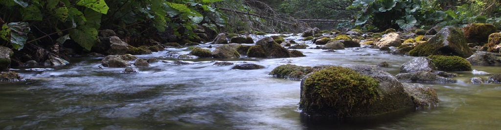 Alacsony Ttra, Szlovk Paradicsom